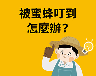 被蜜蜂叮到怎麼辦？